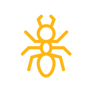 T Amarillo